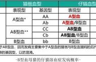 猫咪的相亲之旅：血型匹配的重要性