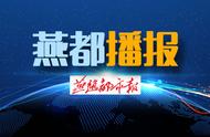 沧州特定区域禁养52种犬类，规定已明确！