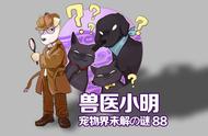 金毛犬真的爱打架吗？温顺的它们为何会遭受攻击？二哈有话要说！