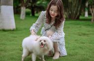 博美犬的7种行为，表明它视你为“父母”，请珍惜这份情感