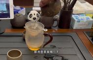 第203期：龙鱼饲养中的困扰与解决之道#品茗时光