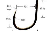 钓鱼秘诀：深度解析鱼钩的构造与选择