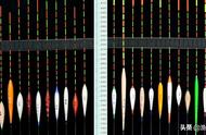 哪种材质的浮漂最灵敏？答案竟然是这个，学会后钓鱼不再迷茫