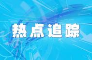 揭秘宠物美容师：为何这一职业成为“受宠”的冷门选择？