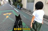 德牧犬的守护：陪伴小主人上学的温馨瞬间