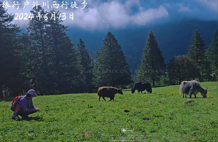 征服自然：我的户外徒步与登山之旅