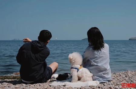 带着宠物去冒险：探索旅行新体验