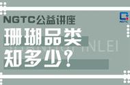 NGTC公益讲座：揭开珊瑚品类的神秘面纱