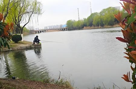 钓鱼运动：季节策略助你轻松应对各种天气