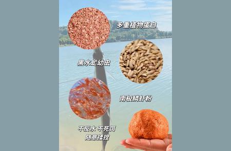 夏天钓鱼必备：经典饵料制作全攻略