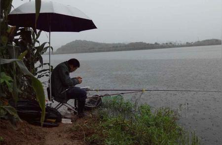 夏末雨中垂钓狂欢，这些技巧你掌握了吗？