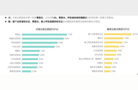 宠物健康问题解决之道：探寻最佳解决方案