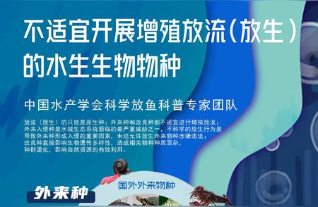 水生生物放生须知：哪些生物不能随意投放？