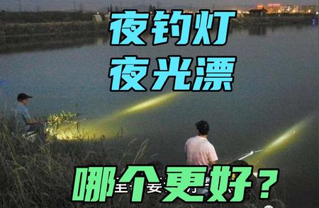 夜钓新手疑惑解析：夜钓灯与夜光漂如何选择？