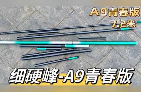 300元惊现T1100碳布鱼竿！细硬峰A9青春版开箱测评！