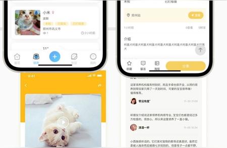 尚无忧宠物社区系统：一站式解决你的宠物领养、救助与相亲需求