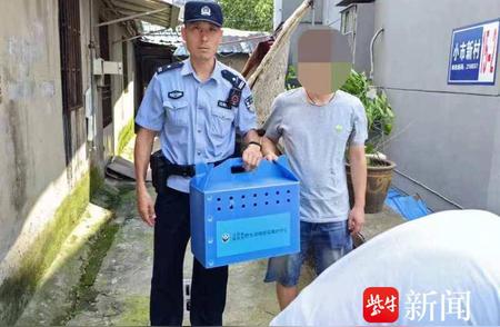 天降萌鸟落户民宅，警民联手护航回家之路！