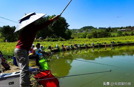 辟谣揭秘：鱼线粗细与钓鱼成功率真相揭秘