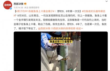 海钓惊现奇事：鱼身上卡着镯子，网友直呼赚大了！