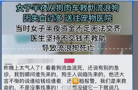 流浪狗生死瞬间！急救现场引发争议，宠物医生的做法引发热议