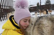 雪橇犬的品种特点与养护知识