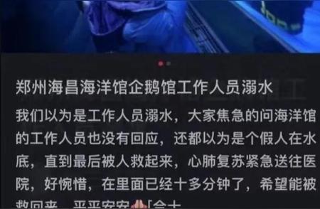 海洋馆潜水员不幸溺亡，网友质疑回应冷漠