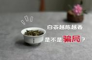 白茶真的会越陈越香吗？揭露一场彻头彻尾的骗局