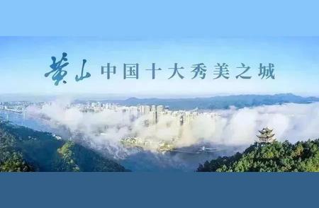 3月28日揭晓：黄山毛峰新茶季盛大开启！