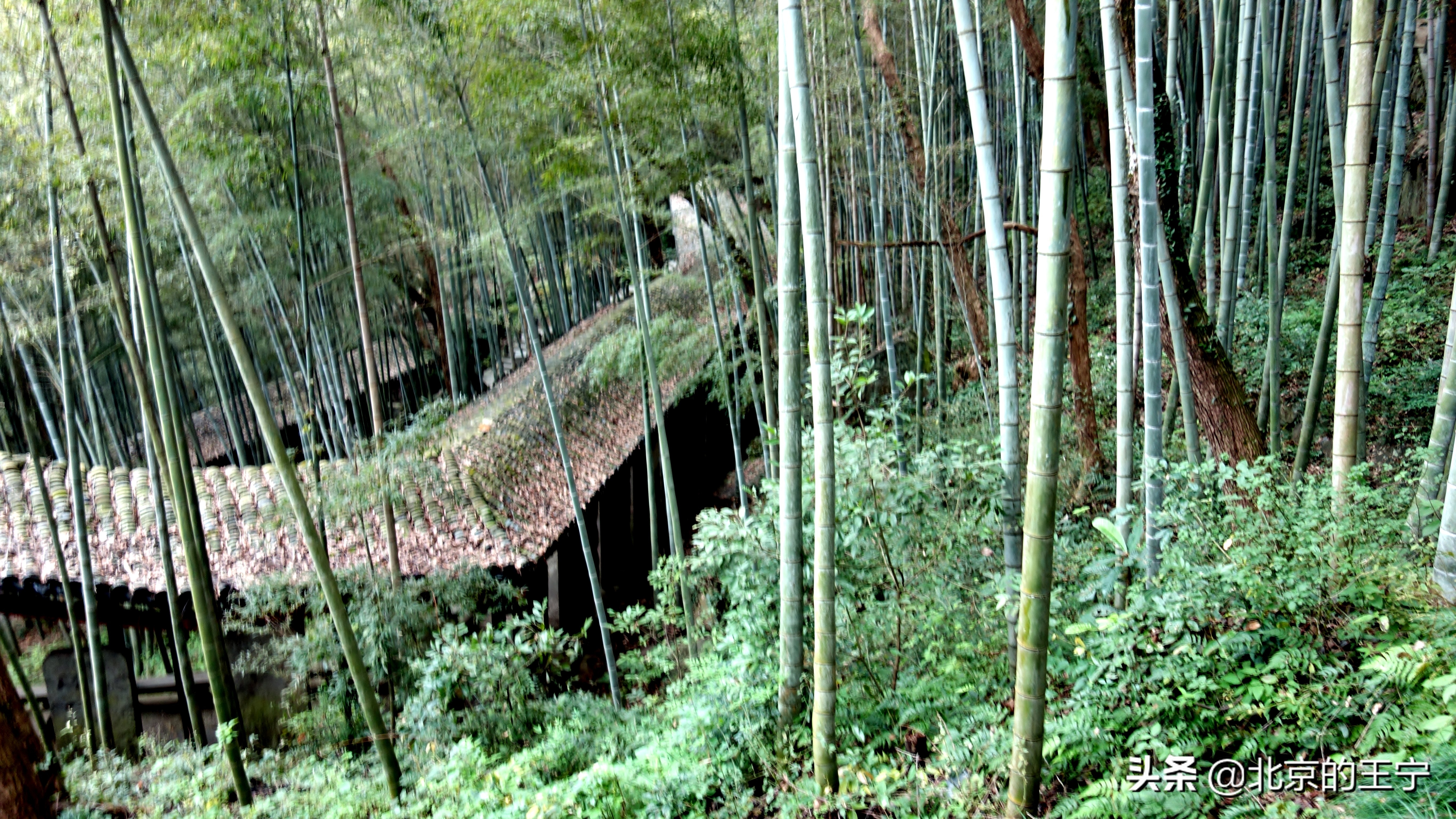 富春江上的“严子陵钓台”